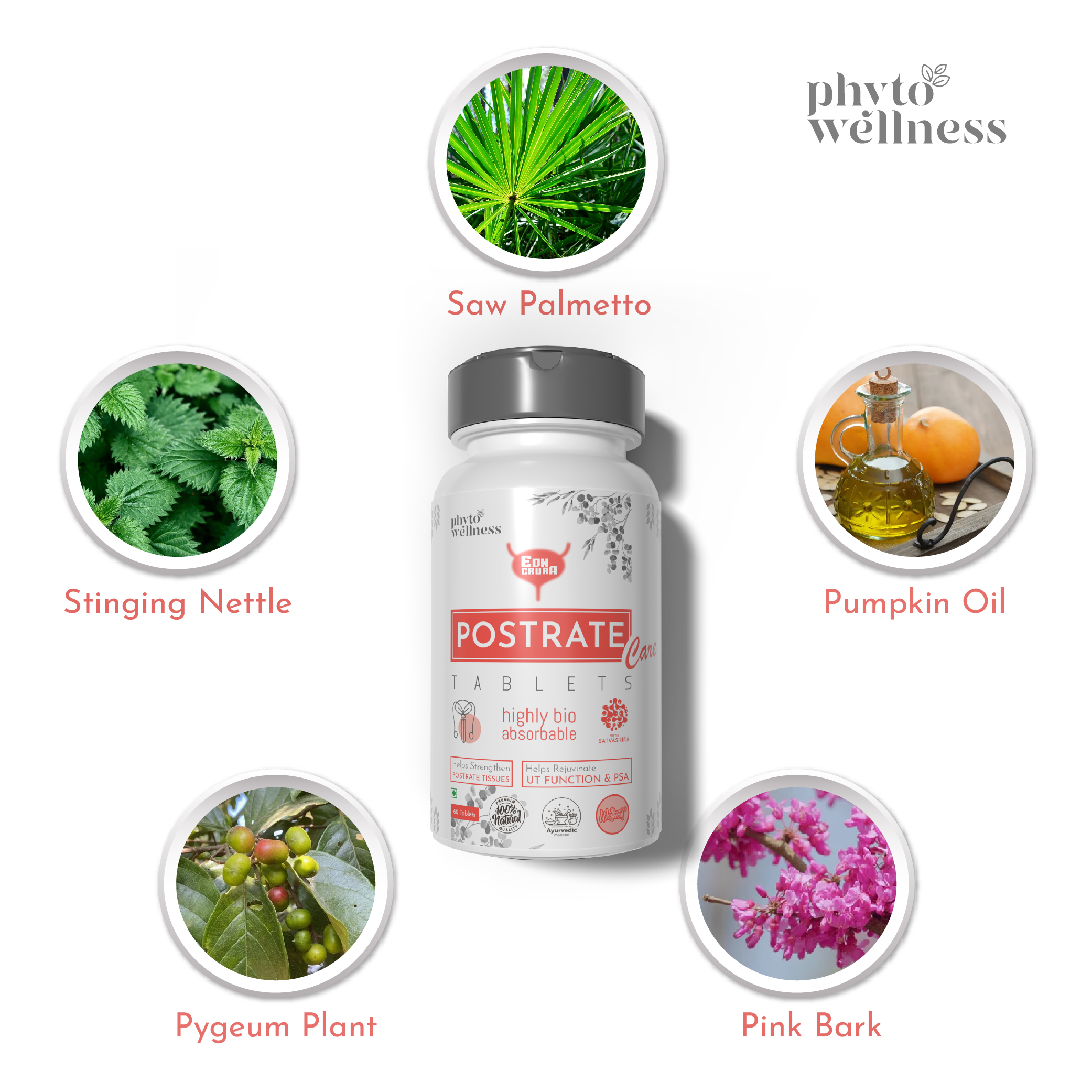 Probiotic Postrate Care 60 Tablets (HS00625)